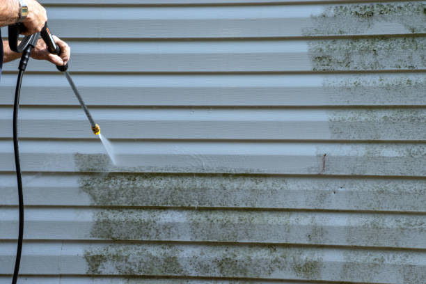 Best Property Management Cleanouts  in Malmstrom Af, MT
