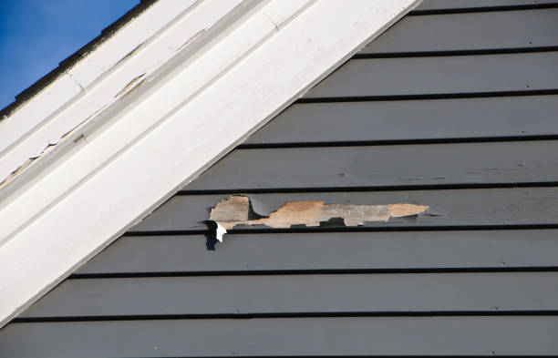 Best Shed Removal  in Malmstrom Af, MT